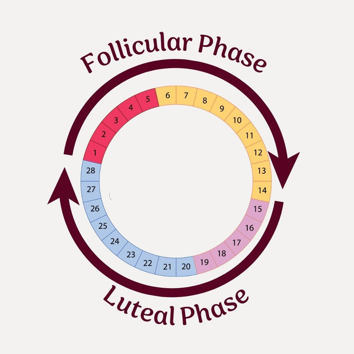 Yoga & Menstrual Cycle: Finding Balance During Your Follicular Phase