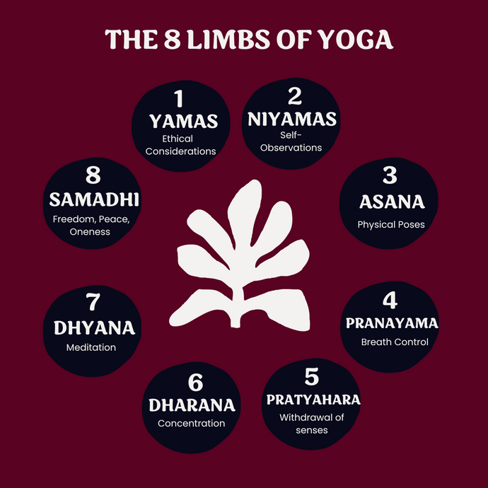 How To Apply The 8 Limbs of Yoga During Challenging Situations In The World?