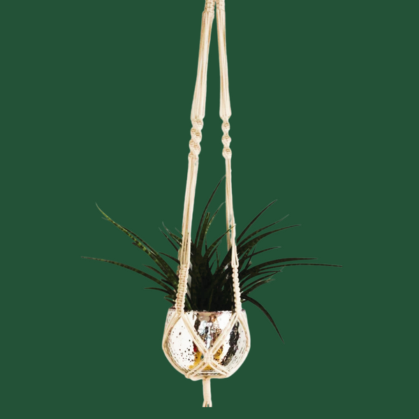 Load image into Gallery viewer, Macramé Plant Hangers
