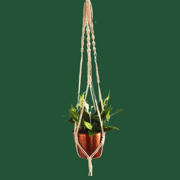 Load image into Gallery viewer, Macramé Plant Hangers
