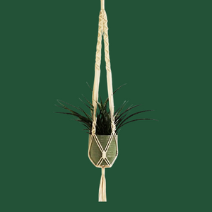 Macramé Plant Hangers